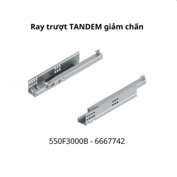 Ray trượt Blum TANDEM 550F3000B 6667742 mở 3/4, ray 30kg, 300mm